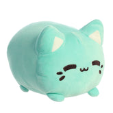 A mint green Meowchi plush toy from Tasty Peach with rounded body and stitched face